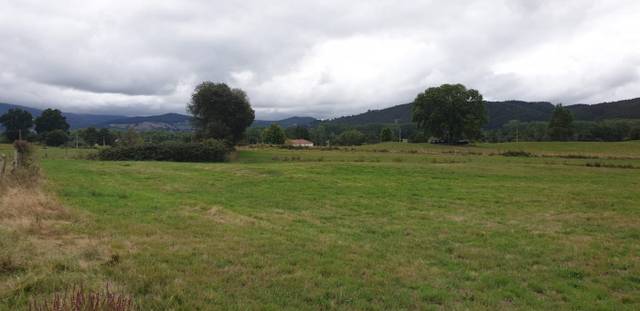 Terreno en Venta en Mazcuerras