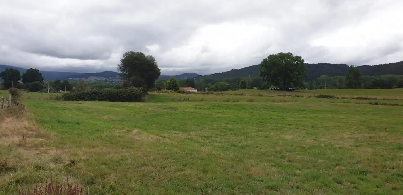 Terreno rustico in vendita a Mazcuerras