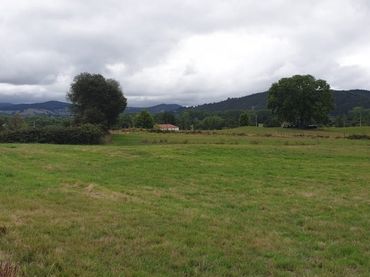 Terreno rustico in vendita a Mazcuerras