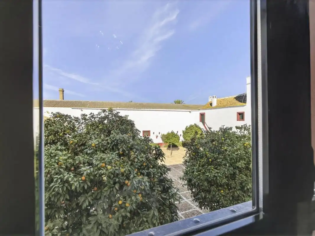 Casa rústica amb piscina en venda a Ctra. de Guadajoz, imagen 81