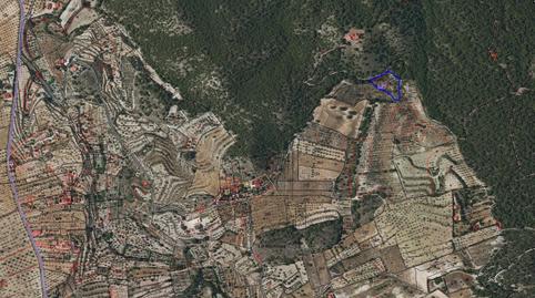 Foto 5 de Terreny en venda a  Polígono 21 Parcela 265 la Bermeja. Ricote (murci, Ricote, Murcia