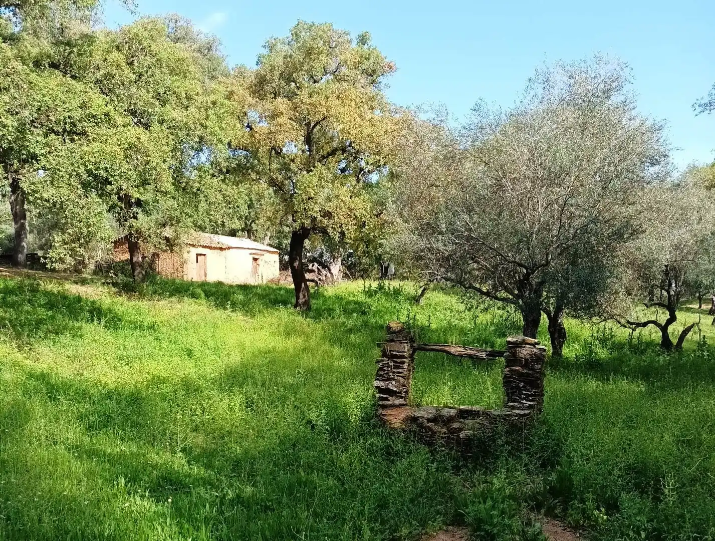 Terreno en venta en Puerto Moral
