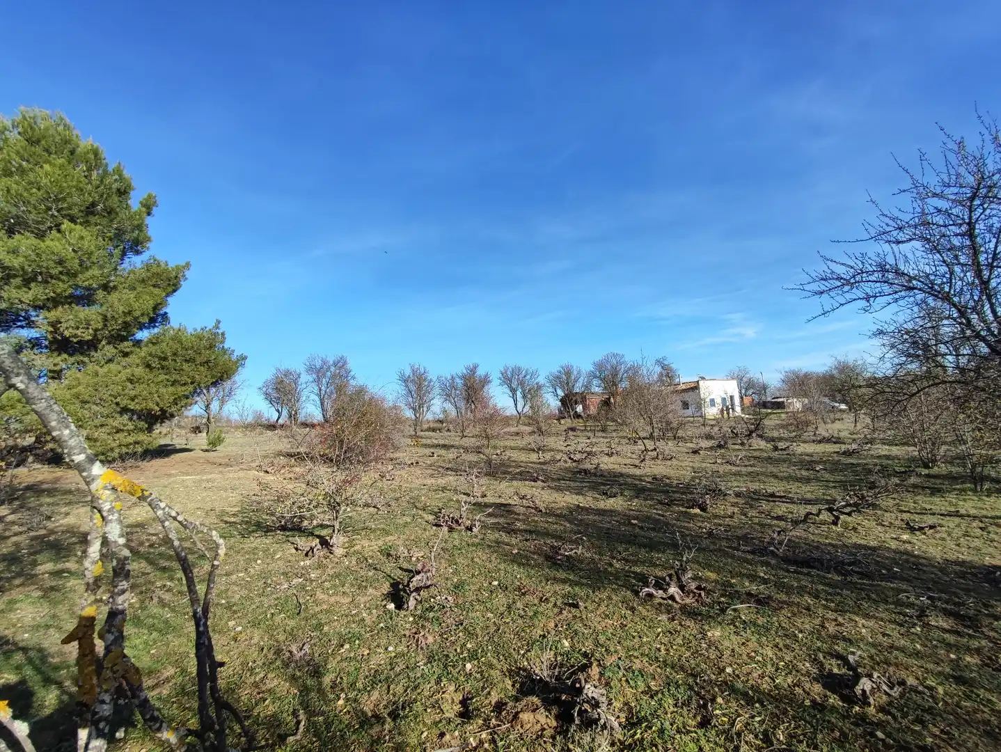 Finca rústica en venda a Carretera Autilla, 37, Allende el Río