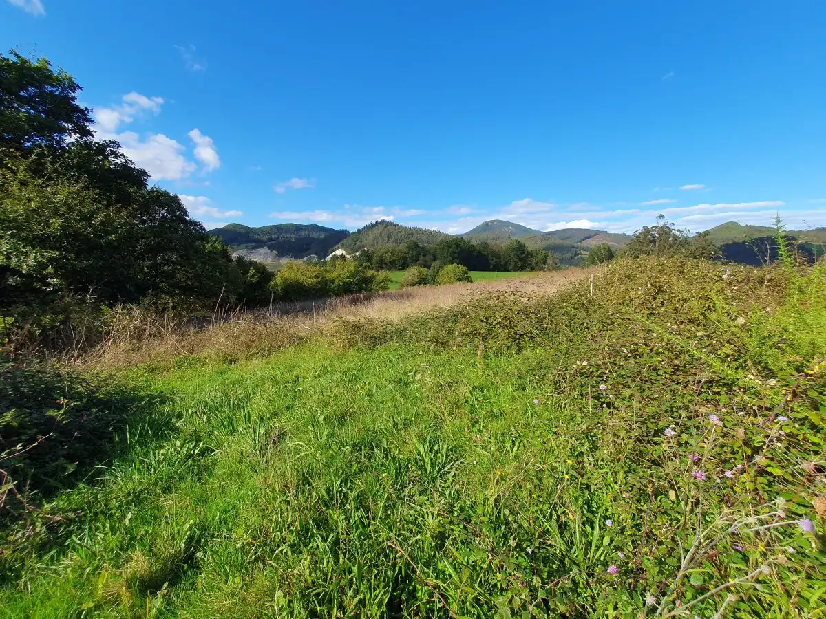Terrenos y solares en venta en Salas, imagen 2