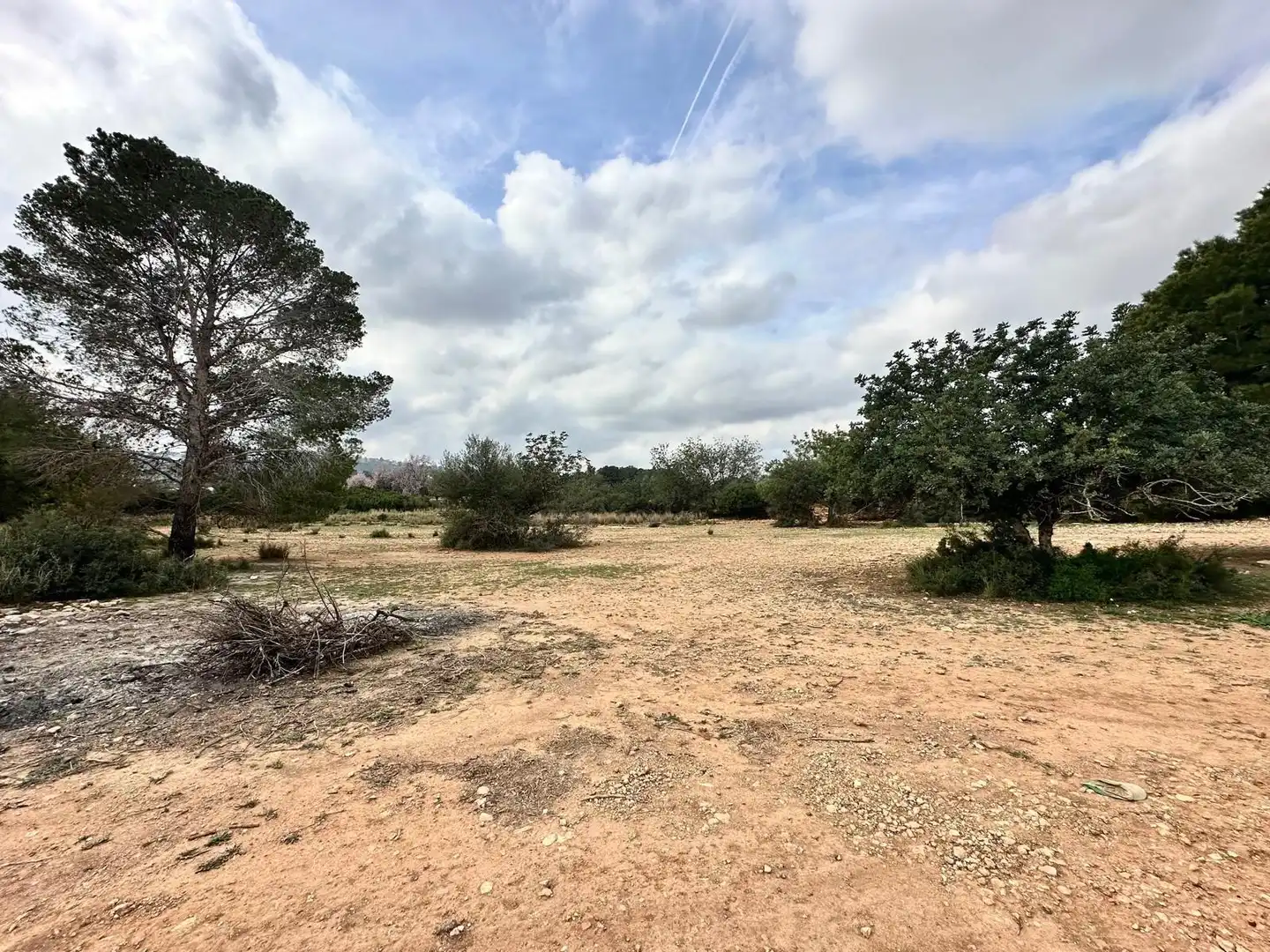 Rustikales Grundstück zum Verkauf in El Bosque, imagen 3