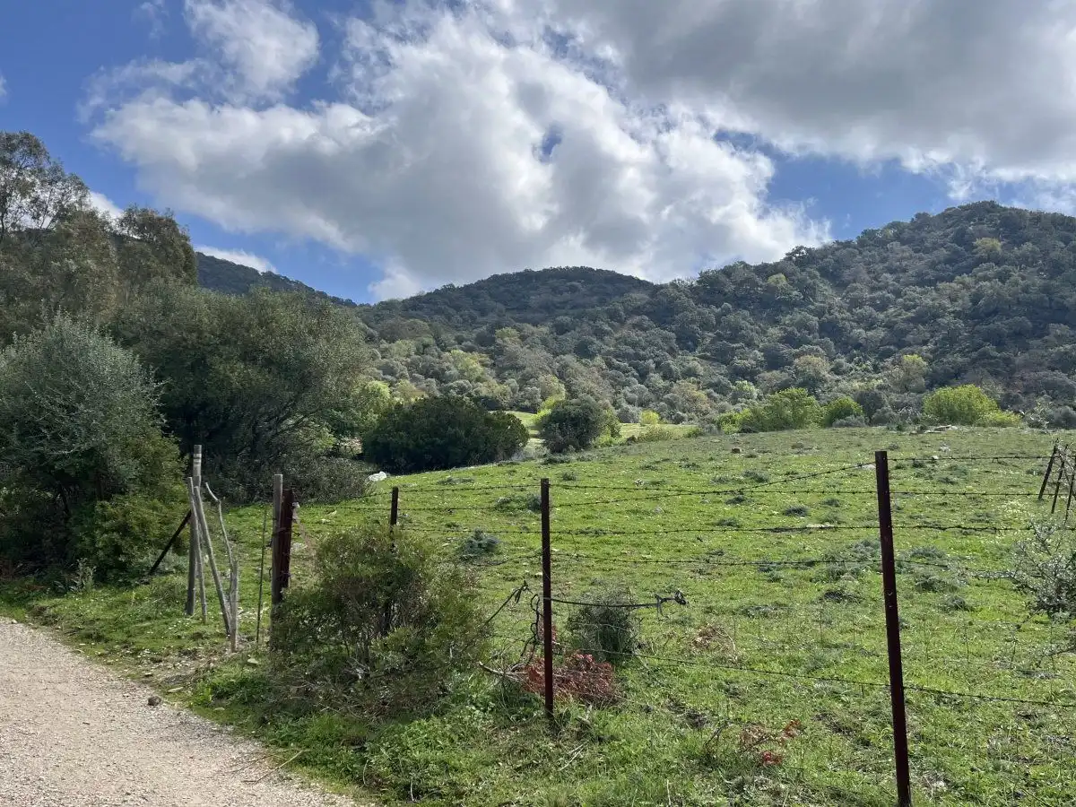 Casa rústica en venta en Cortes de la Frontera, imagen 8