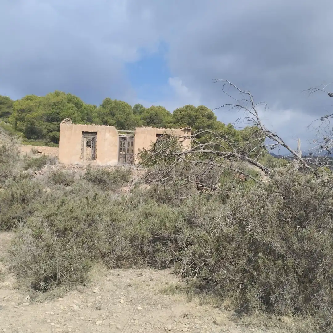 Vista exterior de Residencial en venta en Totana