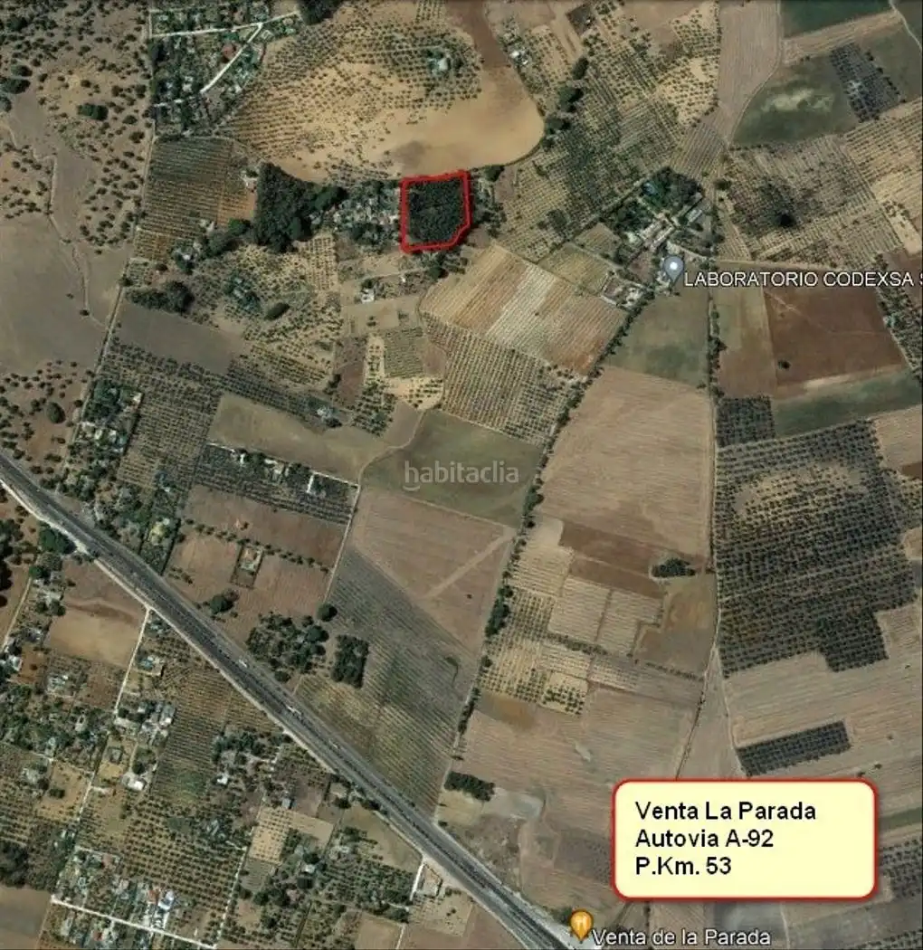 Terreno rustico in vendita a Diseminado Diseminados 38