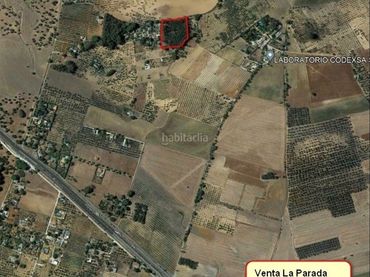 Terreno rústico en venta en Diseminado Diseminados 38