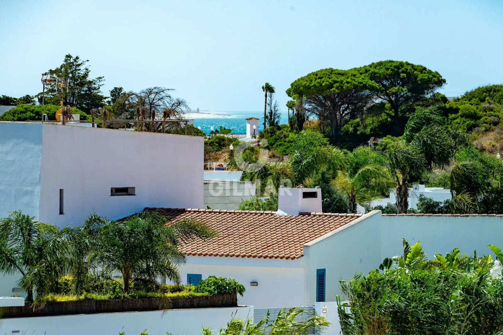 Vista exterior de Casa o xalet en venda en Conil de la Frontera amb Jardí privat, Piscina i Moblat