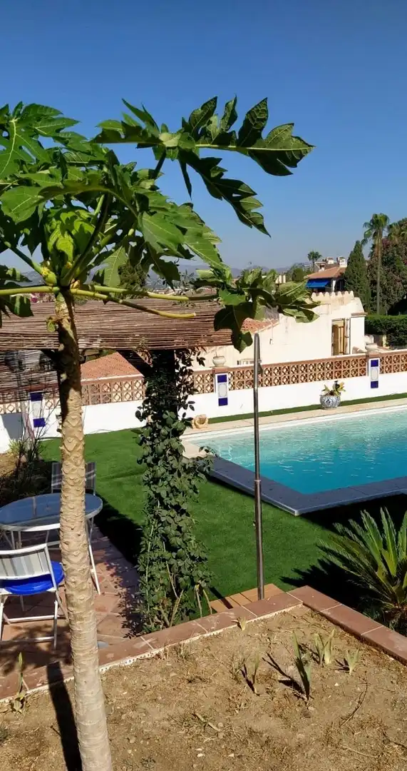 Schwimmbecken von Einfamilien-Reihenhaus zur Miete in Vélez-Málaga mit Terrasse und Schwimmbad