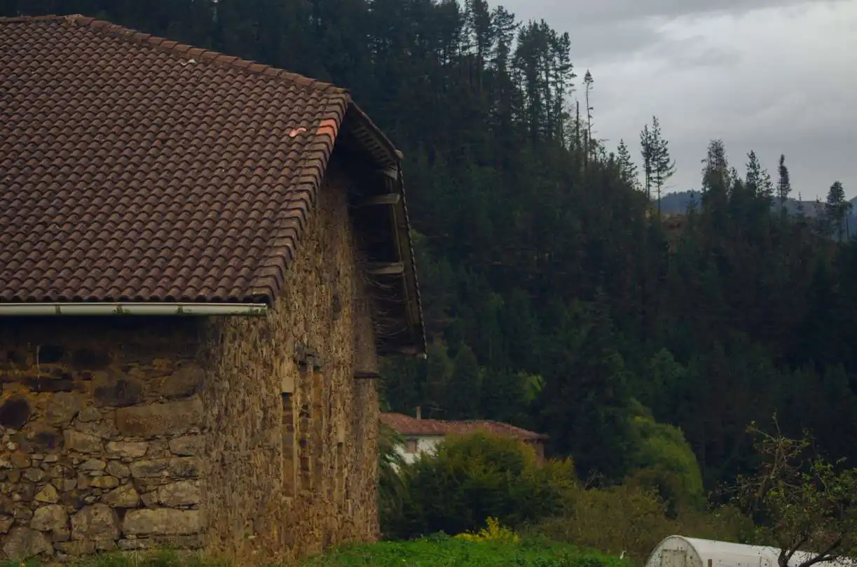 Vista exterior de Finca rústica en venda en Zeanuri