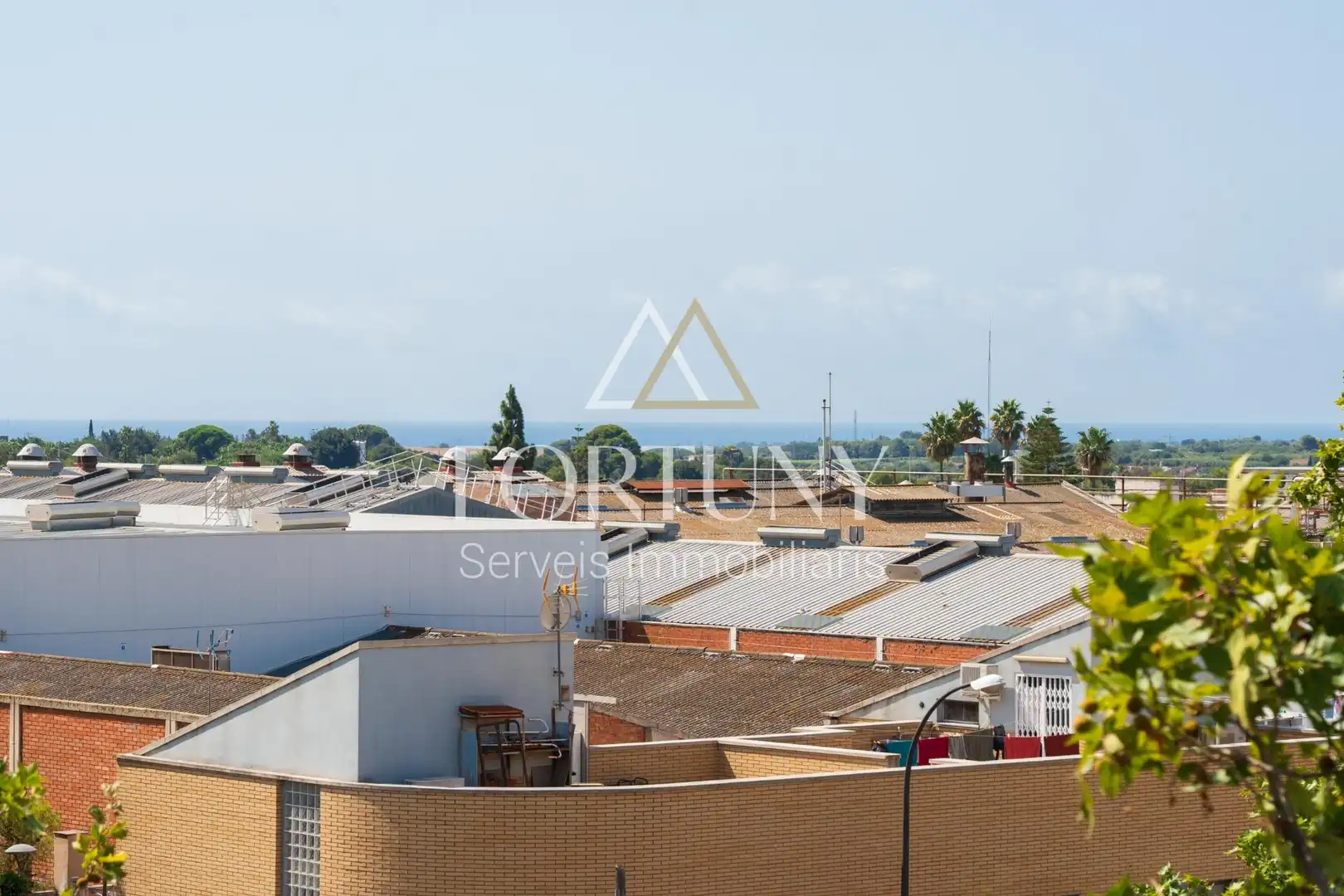 Exterior view of Attic for sale in Reus