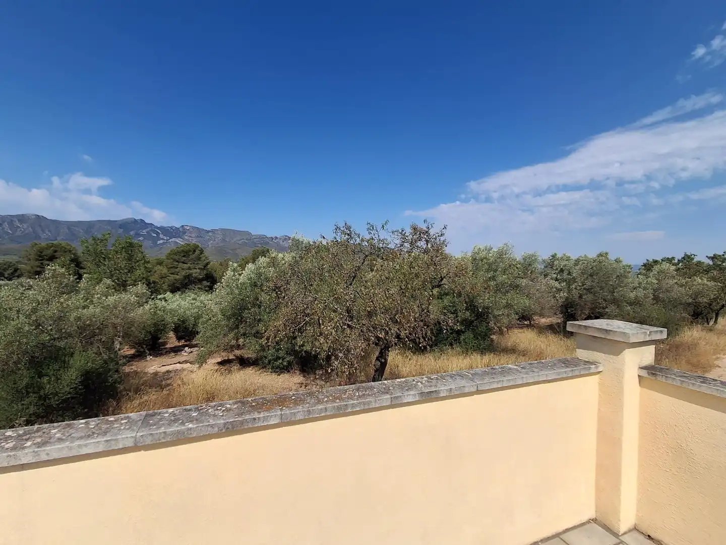 Finca rústica en venda en Tivissa amb Piscina comunitària
