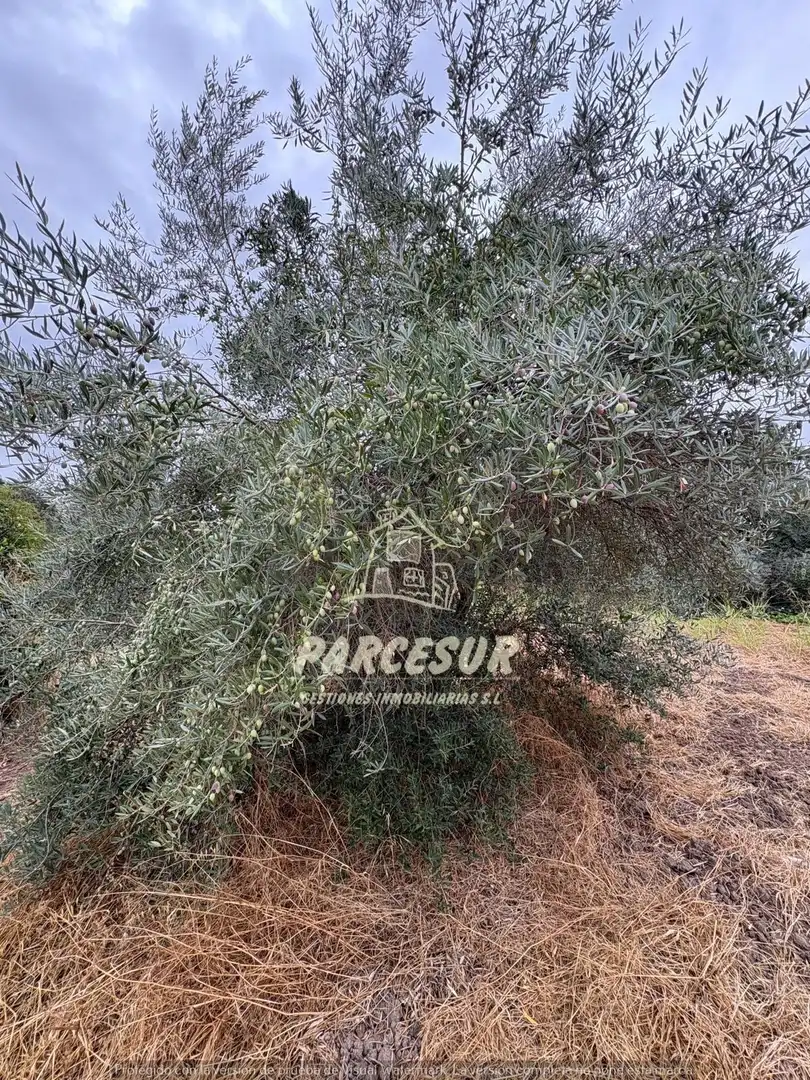 Casa en venta en Periurbano Oeste - Sierra, imagen 31