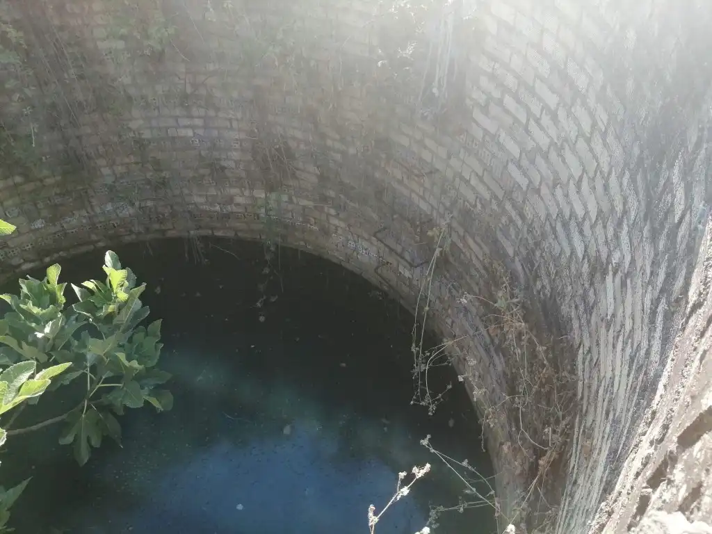 Swimming pool of Residential for sale in Morón de la Frontera