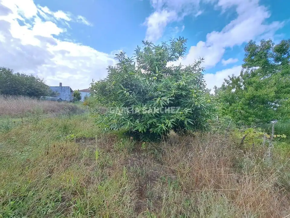 Houses for sale in Boiro  with Private garden and Balcony