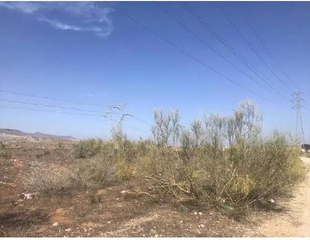 Terreny rústic en venda a Lucainena de las Torres, imagen 5