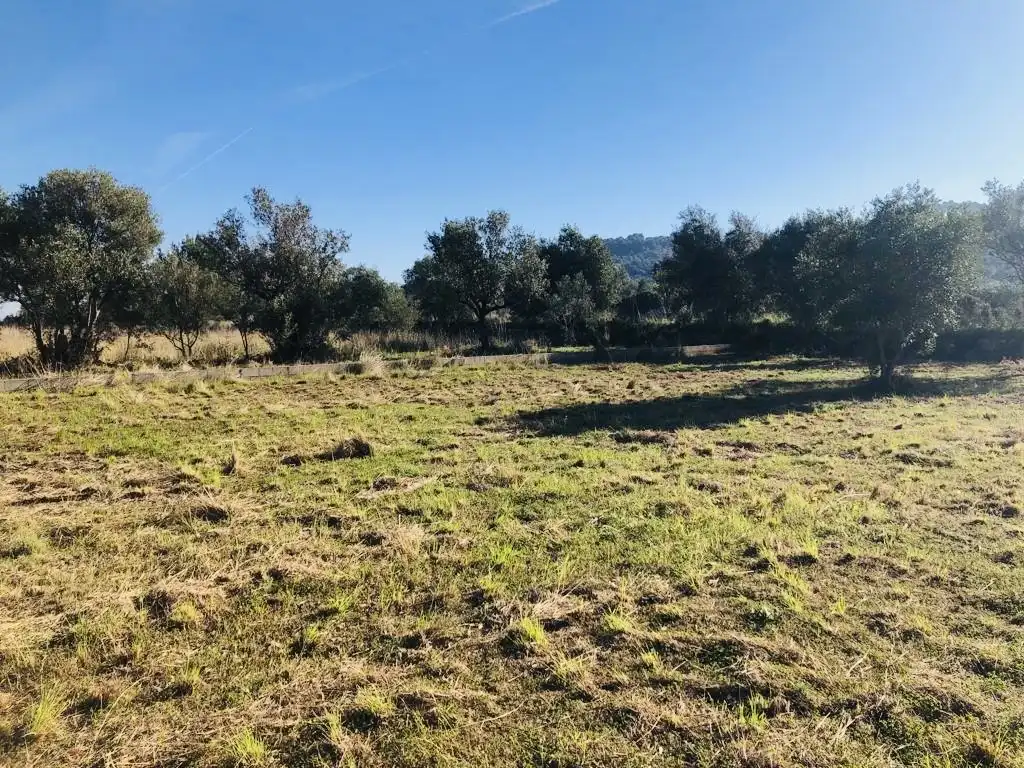 Terreny rústic en venda a Orba, imagen 6