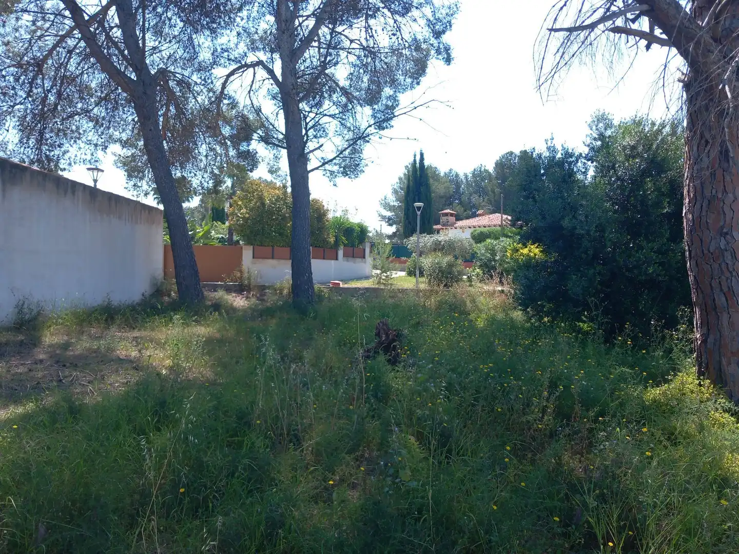 Lands and plots for sale in Banyeres del Penedès, imagen 3