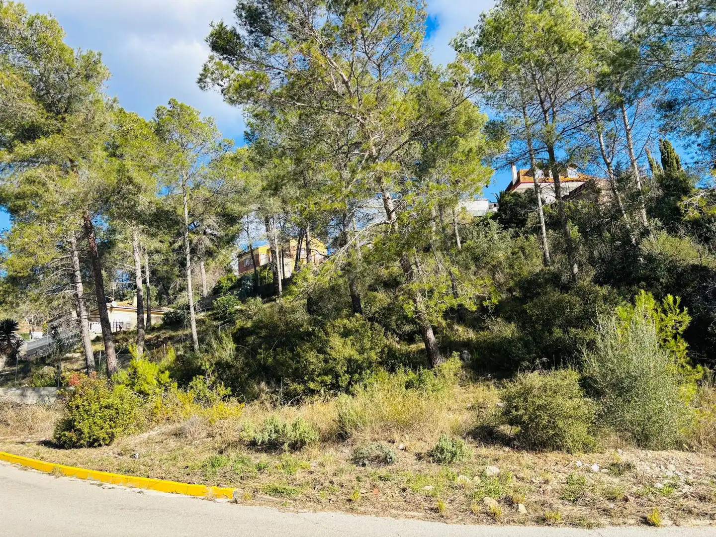 Grundstücke und Bauplätze zum Verkauf in Olivella, imagen 8