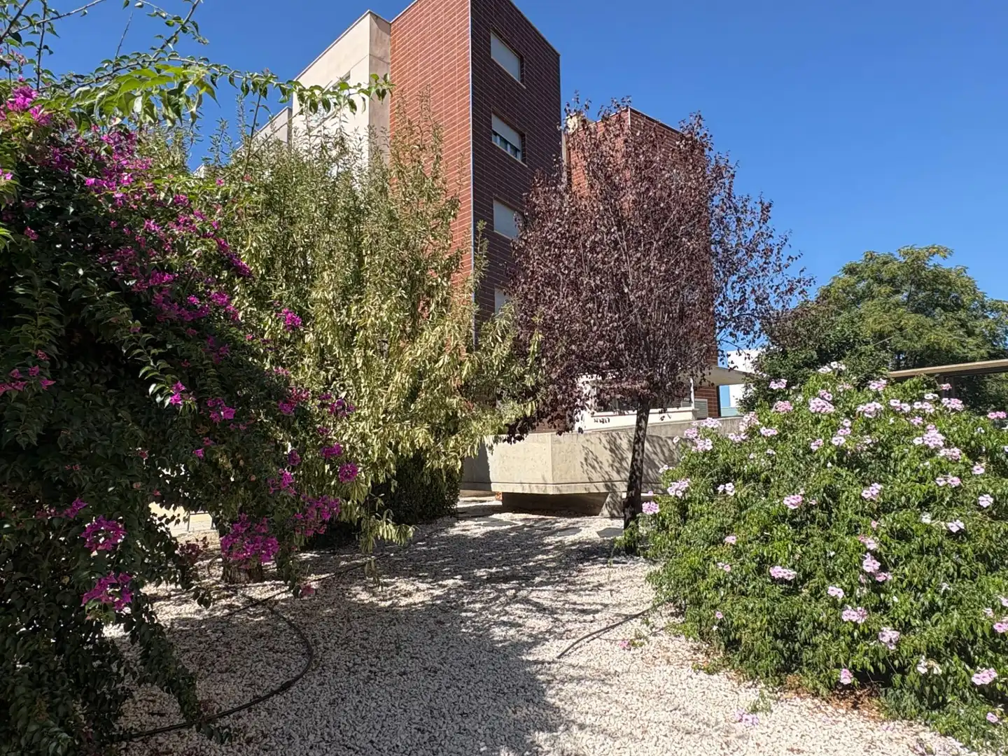 Piso en alquiler en Carretera de Granada - La Alcazaba, imagen 7