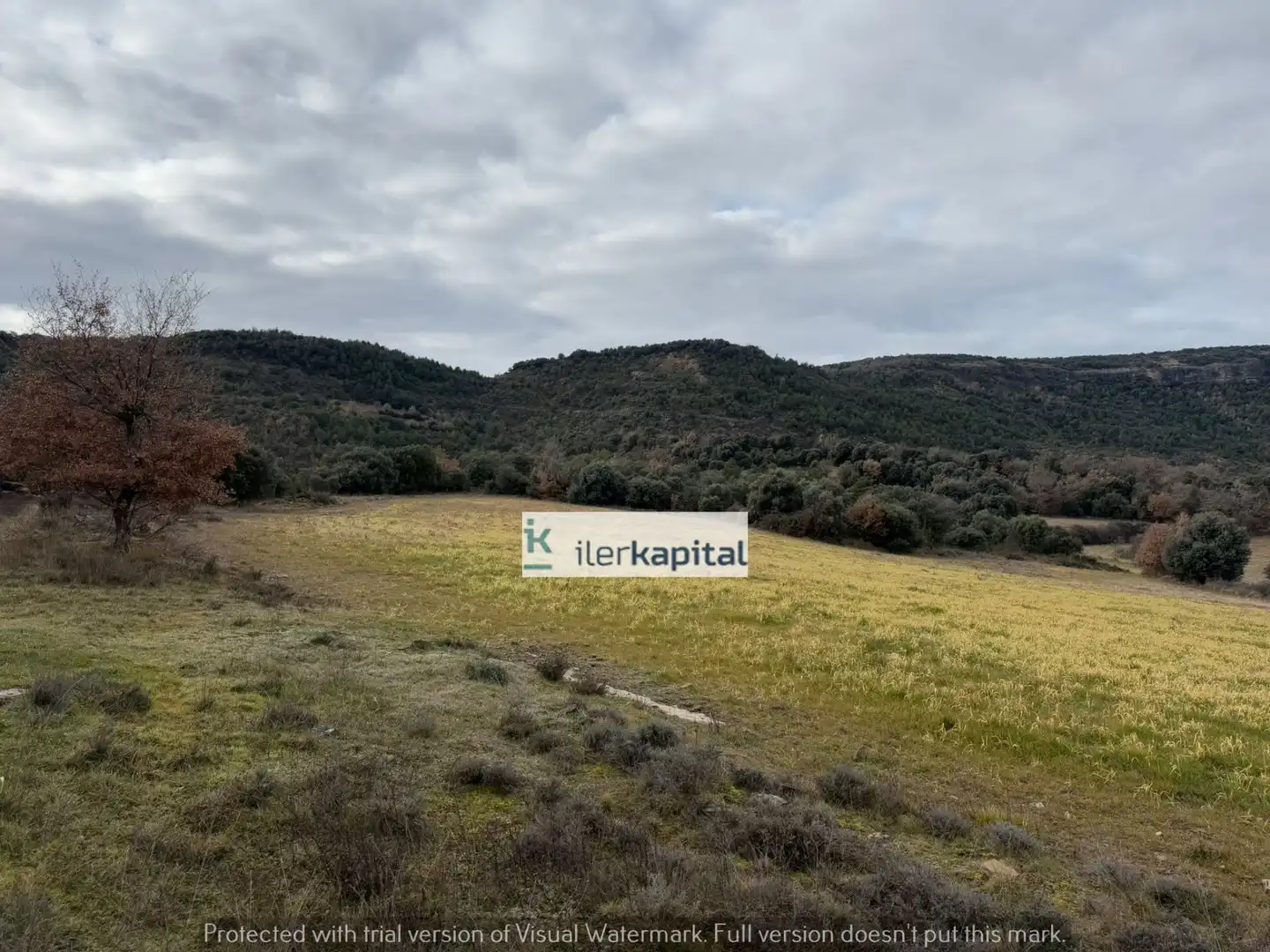 Lands and plots for sale in Tolva, imagen 14
