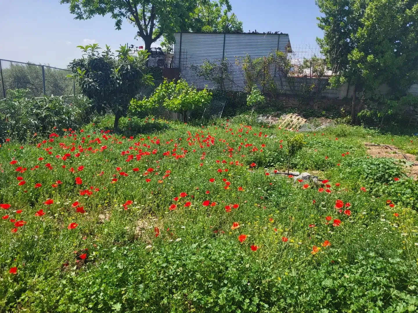 Terrenos y solares en venta en El Torreón - Cortijo Pretel, imagen 10