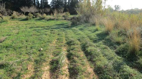 Foto 2 de Terreno en venta en Perín, Murcia