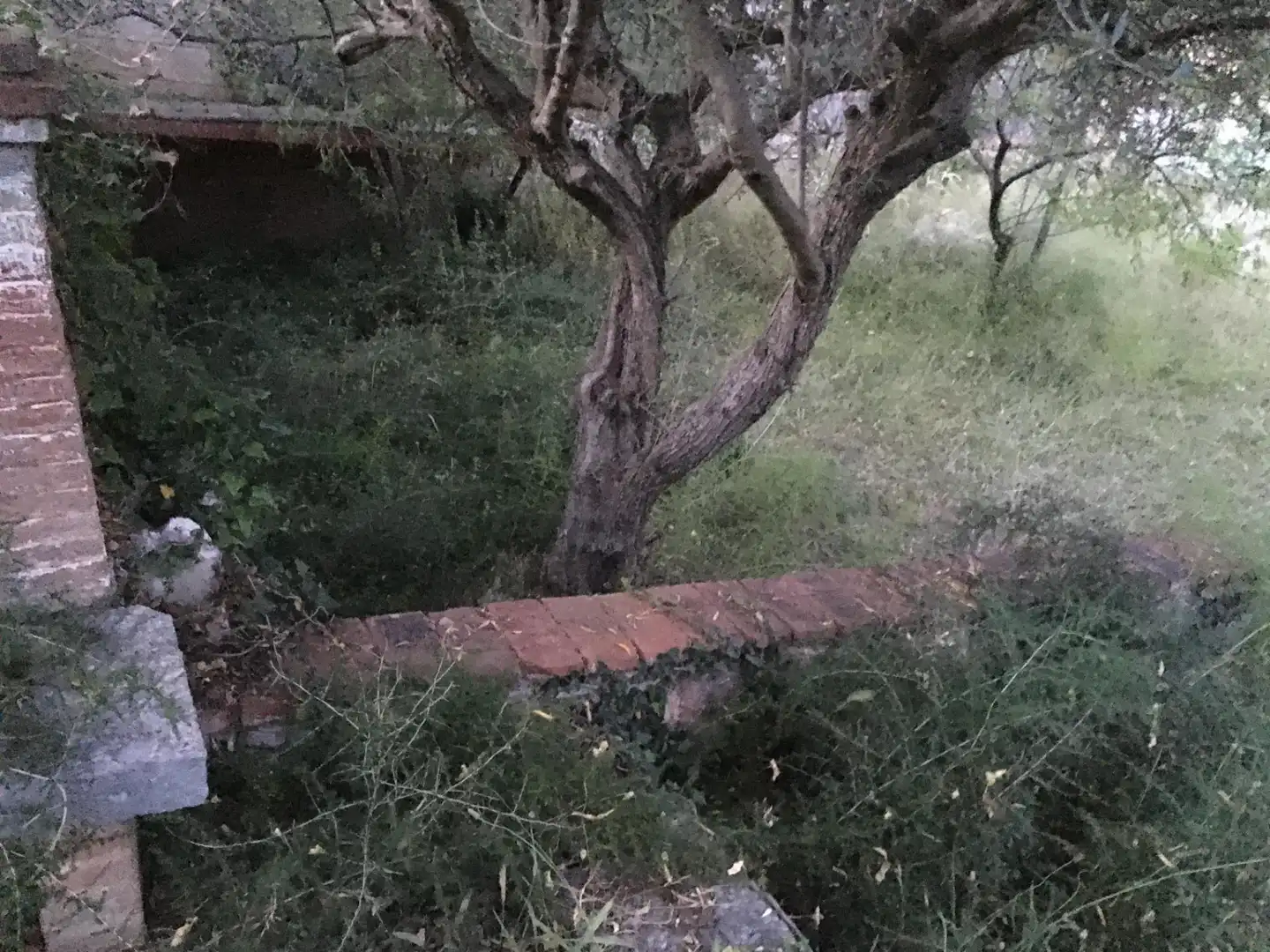 Wohnbaugrundstück zum Verkauf in El Racó - Sant Feliu del Racó, imagen 3