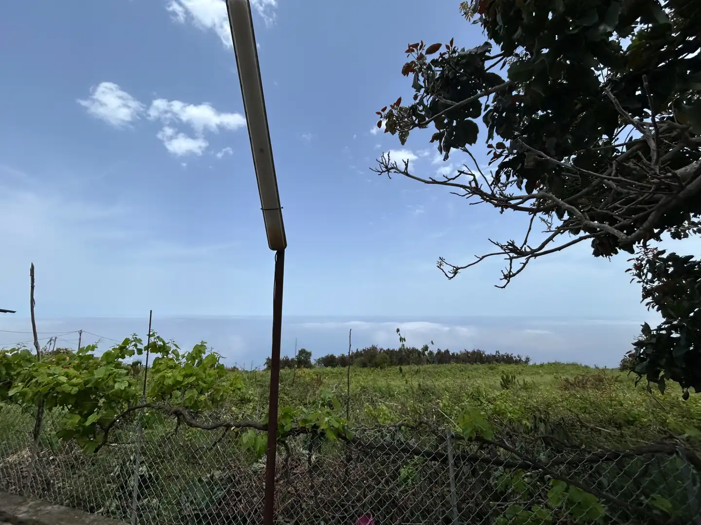 Residential for sale in Santa Úrsula