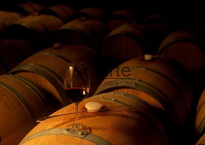 Vista exterior de Finca rústica en venda en Gratallops