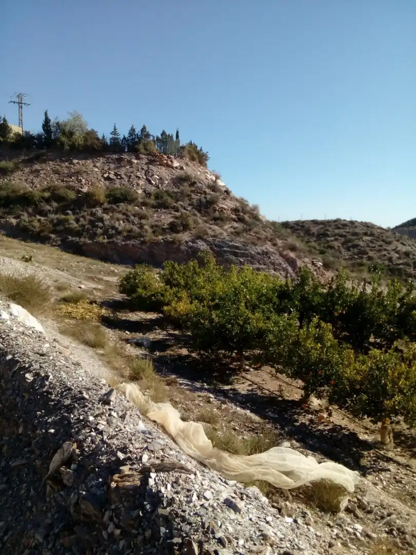 Casa rústica amb jardí en venda a Tébar - Los Arejos, imagen 11