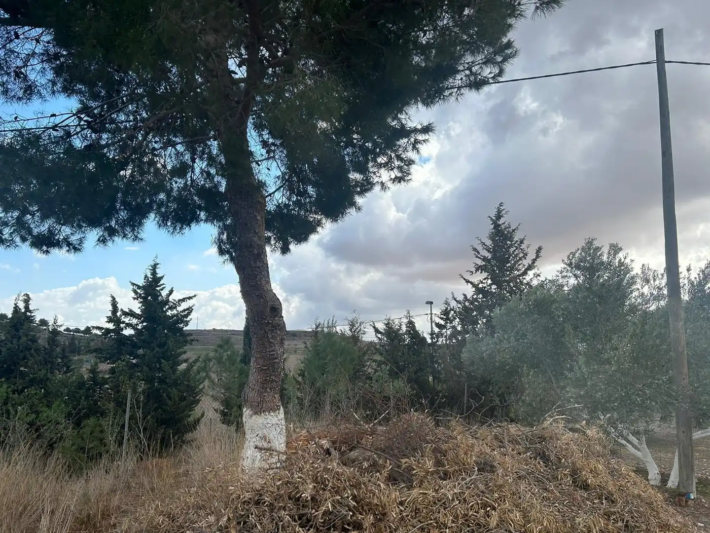 Rustikales Grundstück zum Verkauf in Pedanías Oeste, imagen 24