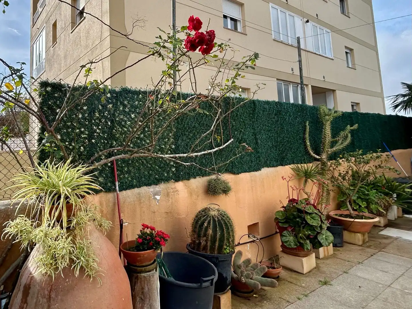 Adossat amb piscina en venda a Colom, imagen 37