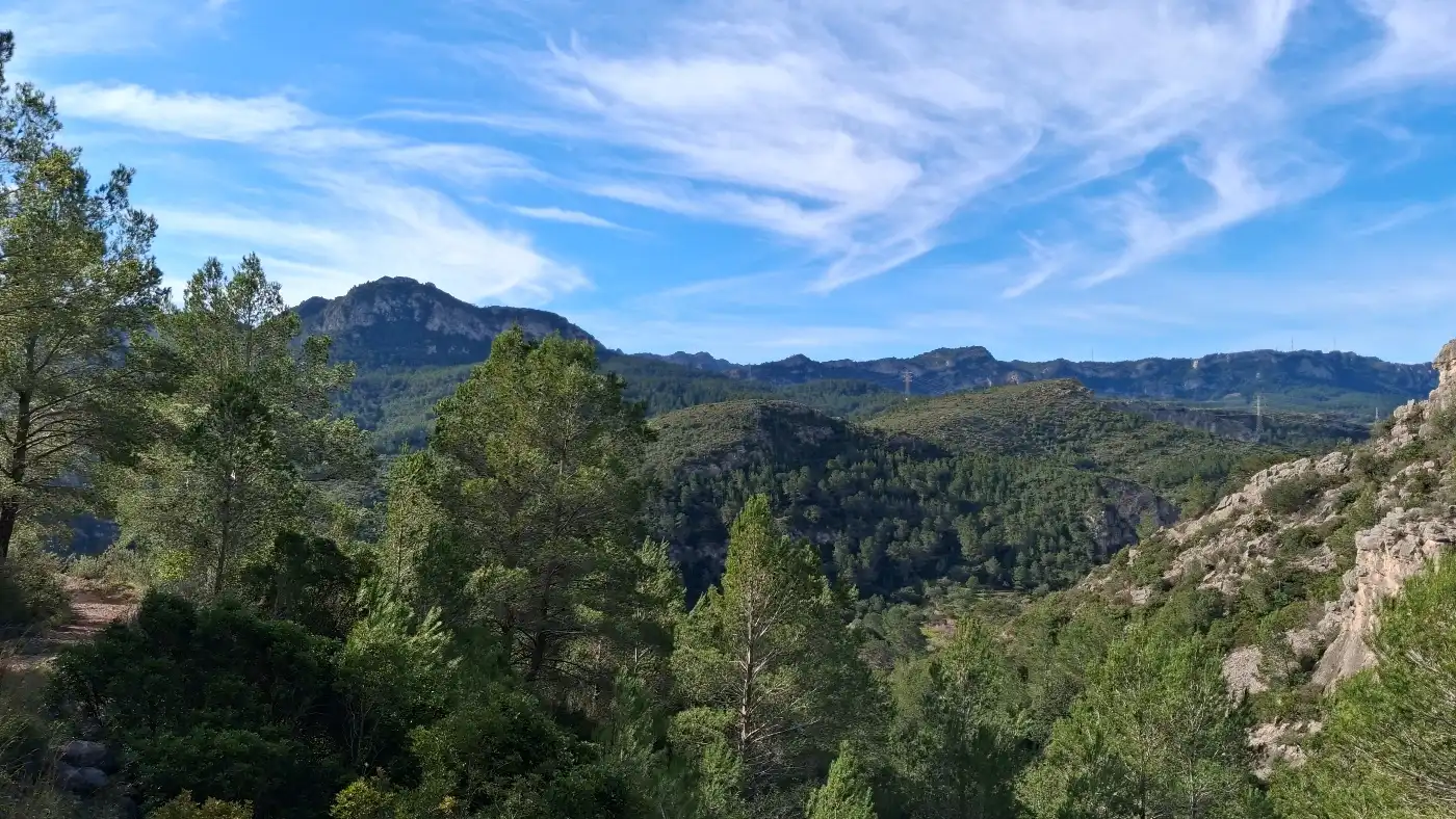 Vista exterior de Terreno en venta en Pratdip