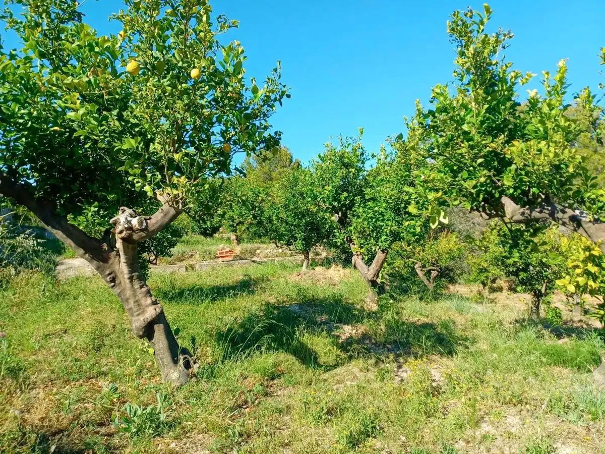 Jardín de Finca rústica en venta en Polop