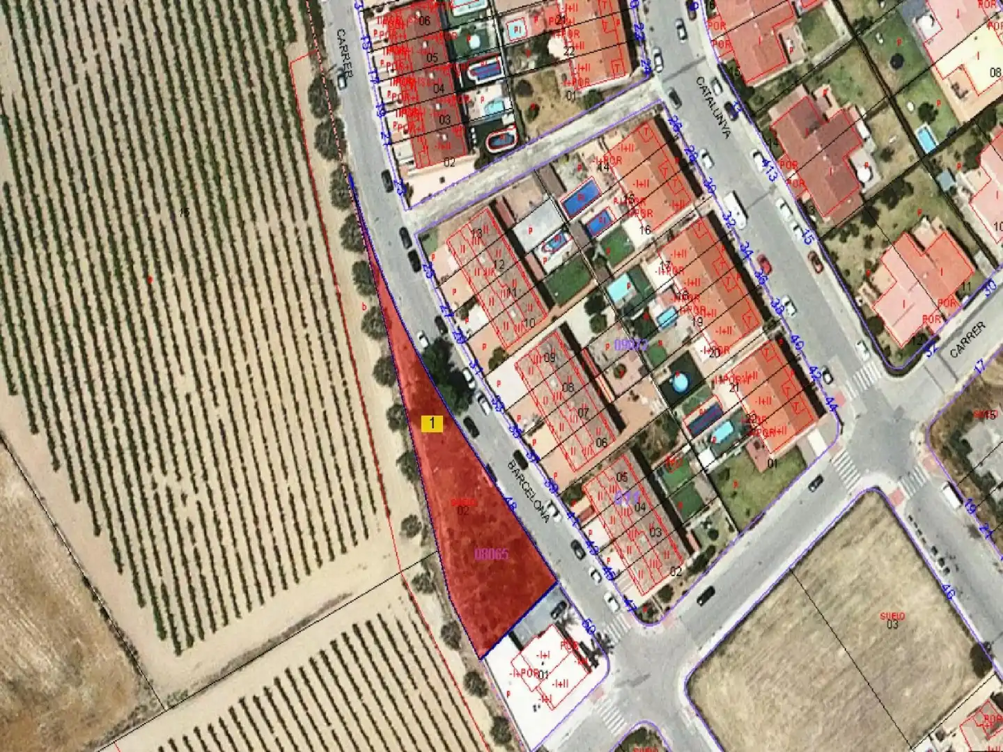 Lands and plots for sale in Banyeres del Penedès, imagen 4