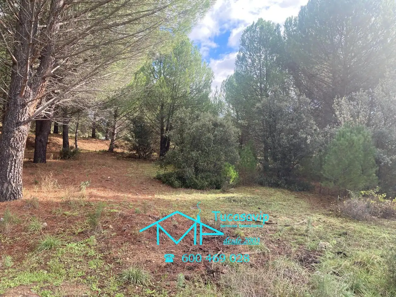 Terreni e lotti in vendita a Cebreros, imagen 15