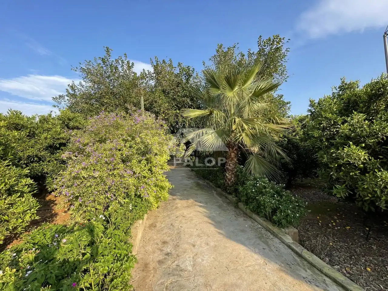 Finca rústica en venta en La Pobla Llarga con Aire acondicionado, Jardín privado y Terraza