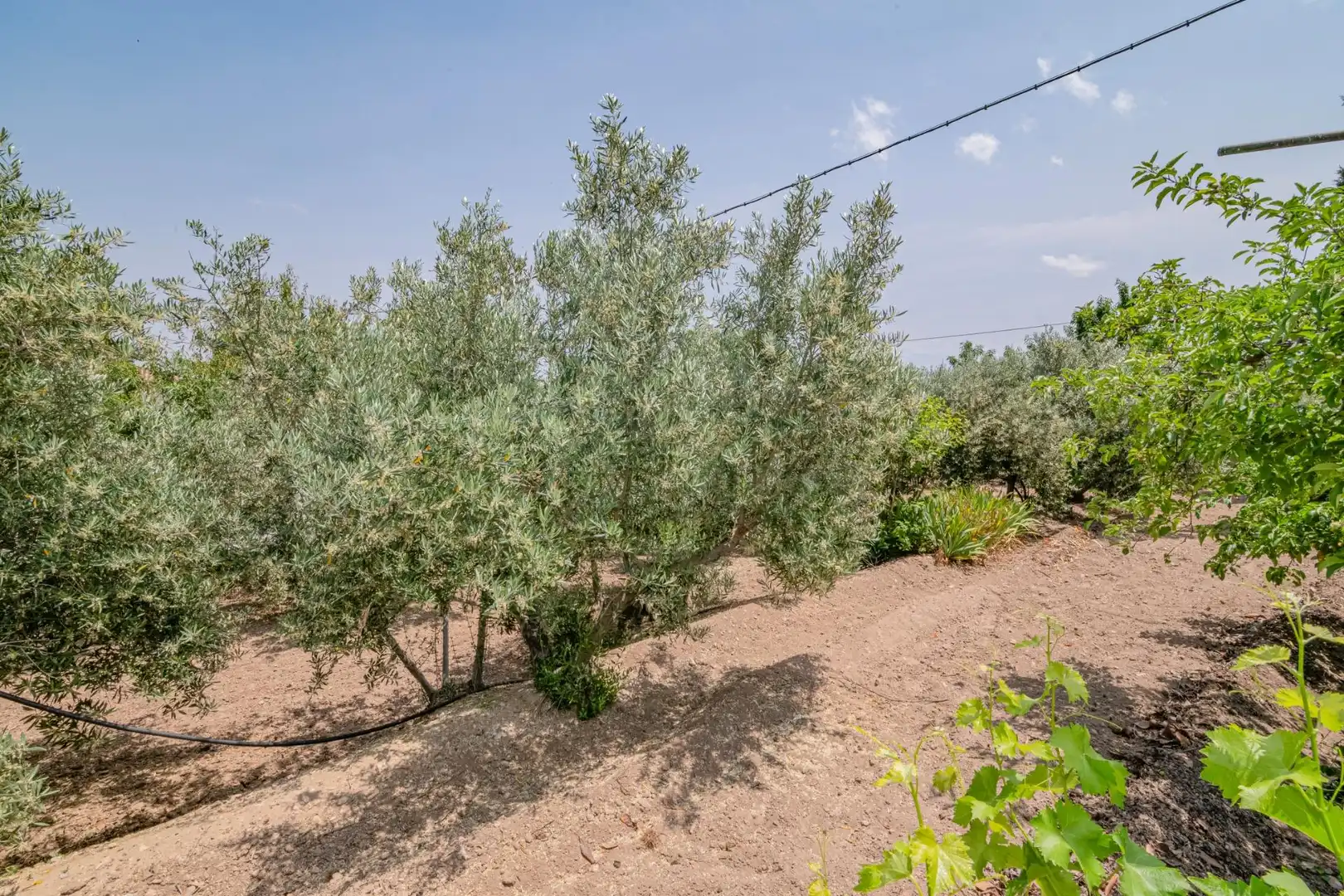 Casa o chalet en venta en Baza con Aire acondicionado, Calefacción y Jardín privado