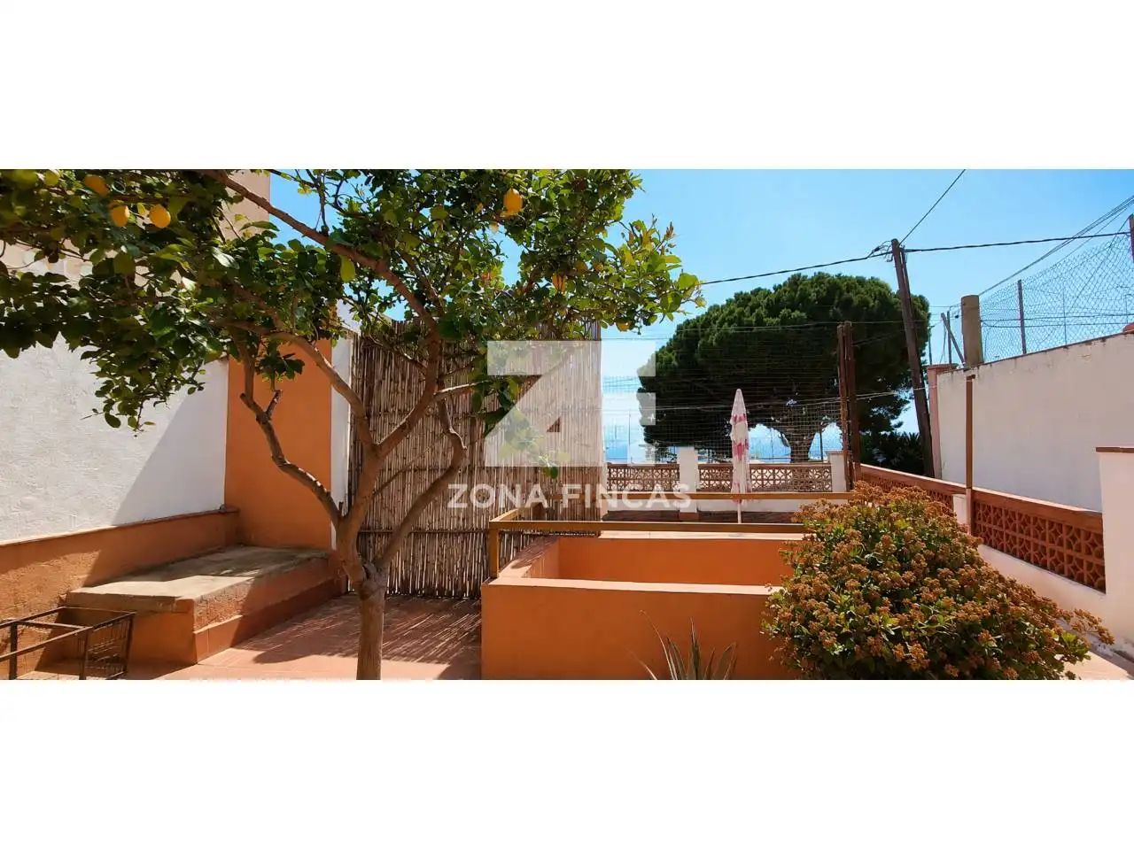 Jardí de Casa o xalet en venda en Santa Coloma de Gramenet amb Terrassa
