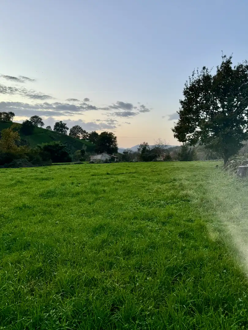 Rural land for sale in Villafufre - VILLAFUFRE, imagen 2