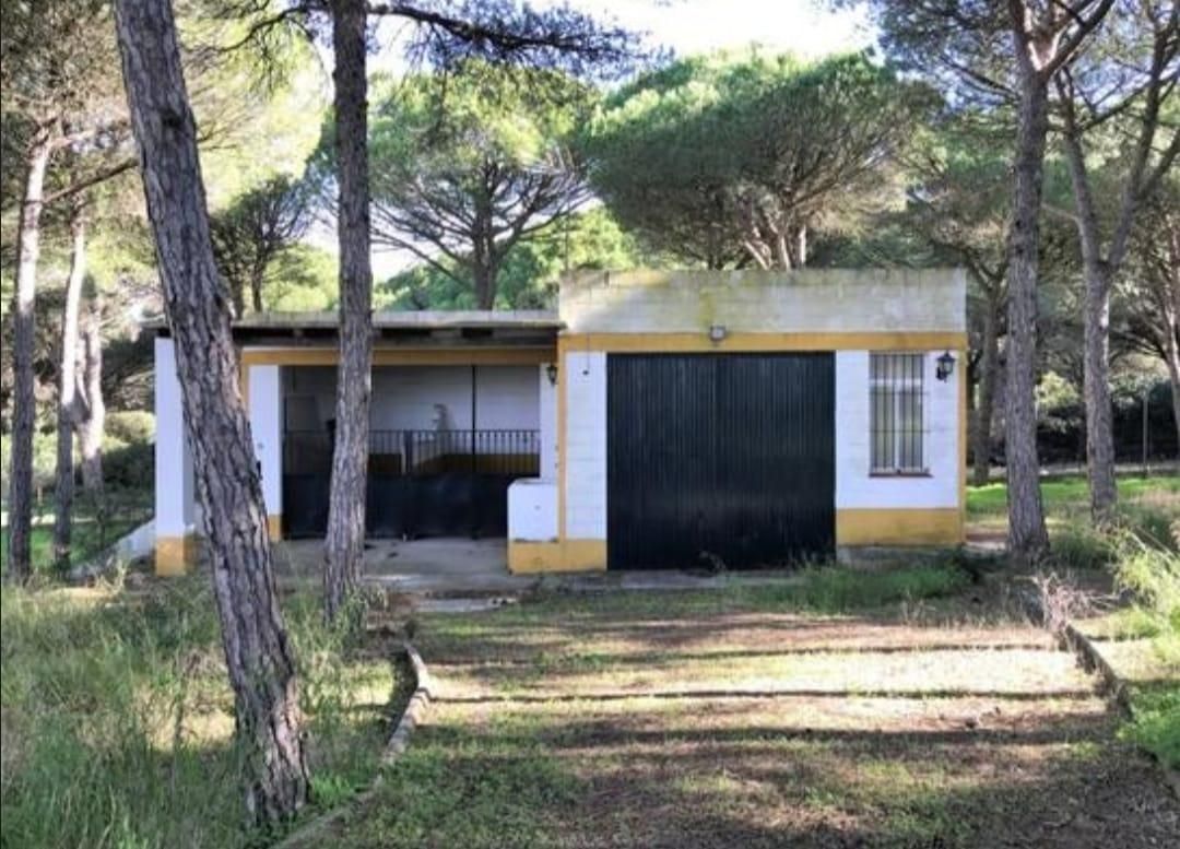 Garden of House or chalet for sale in Chiclana de la Frontera