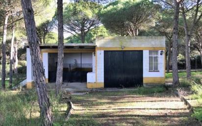 Garden of House or chalet for sale in Chiclana de la Frontera