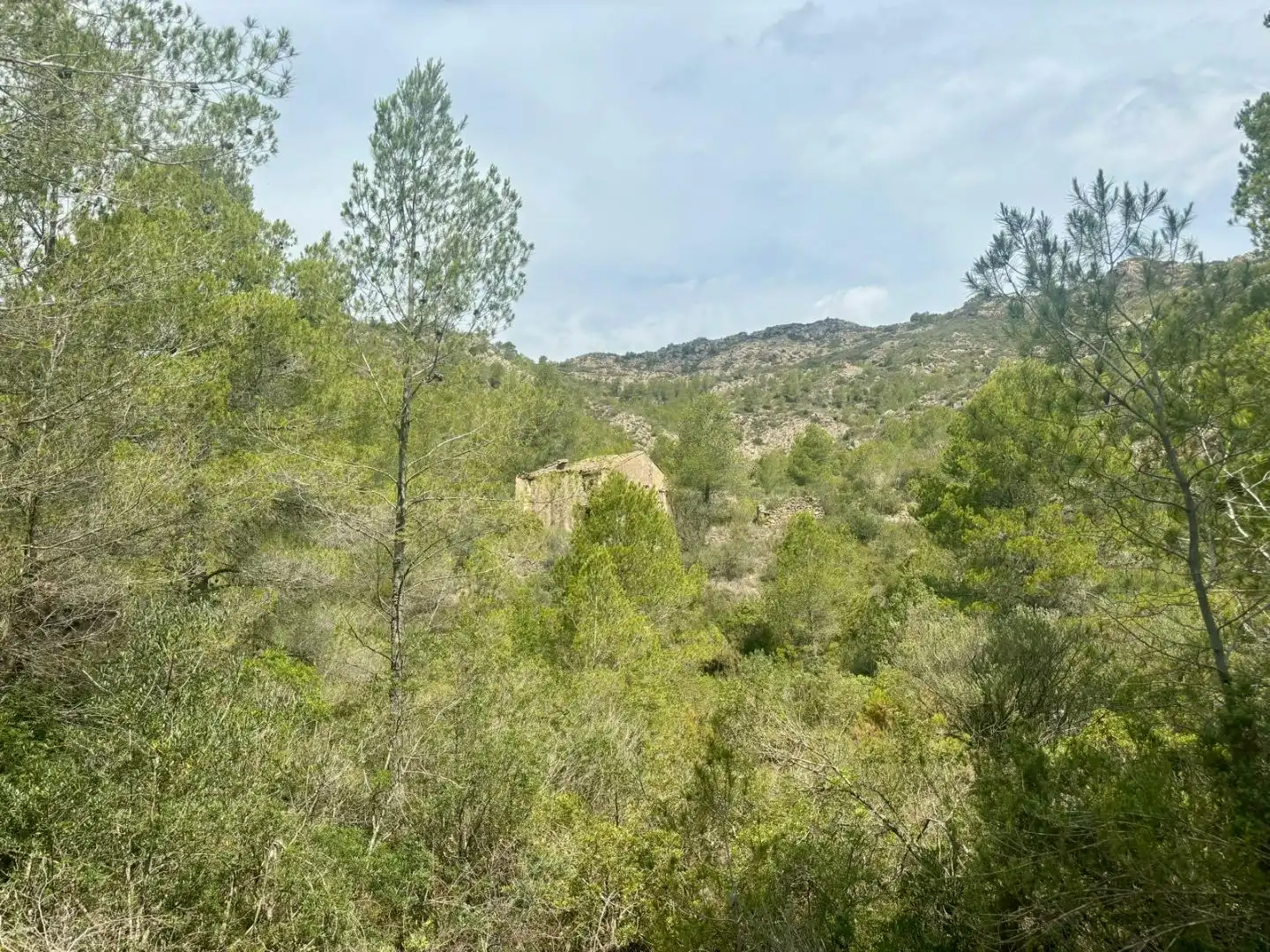 Terreno en venta en Tivissa