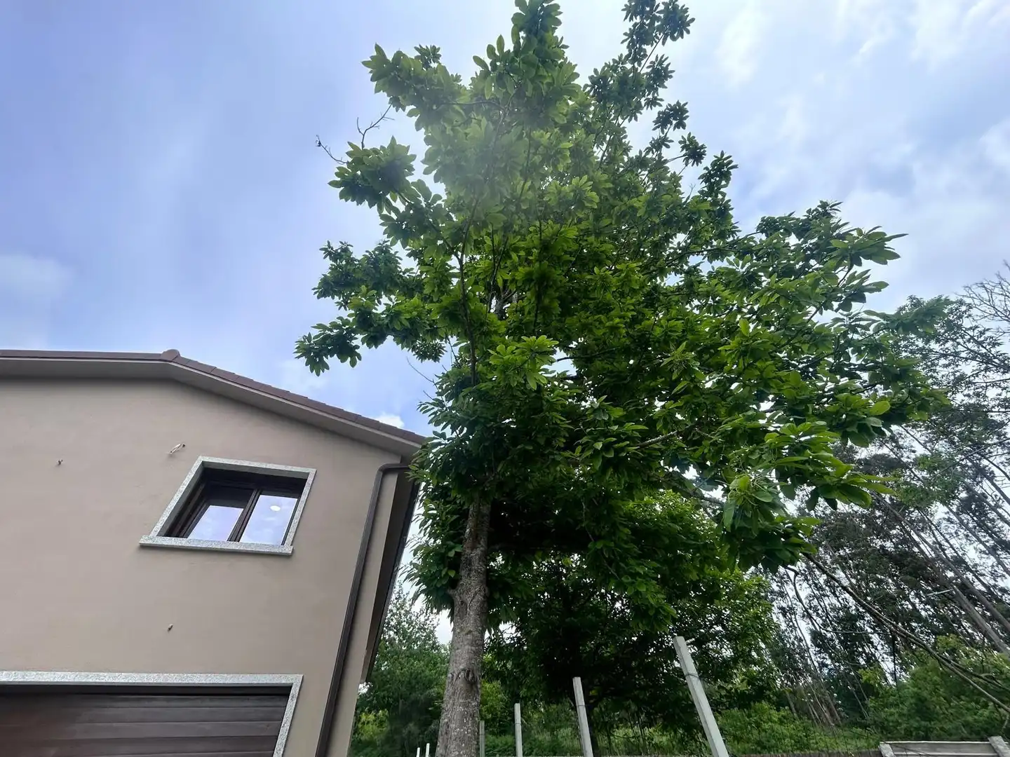 Vista exterior de Casa o chalet en venta en Salceda de Caselas con Calefacción