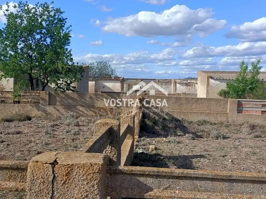 Terreny rústic en venda a PARAJE DE LA CERCA, imagen 15