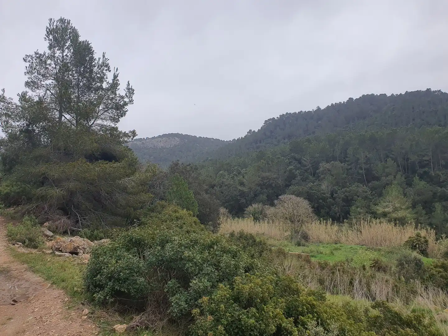 House for sale in Tivissa, imagen 6