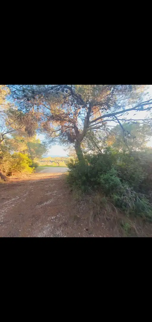 Casa en venta en Móra d'Ebre, imagen 4